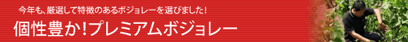 ボジョレー新入荷商品