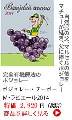 1/�l�E���s�G�[���i�{�[�W�����[�k�[�{�[�j�E�C�X�L�[